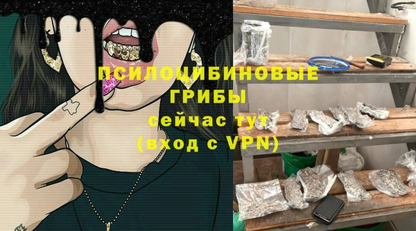 гидра Алзамай